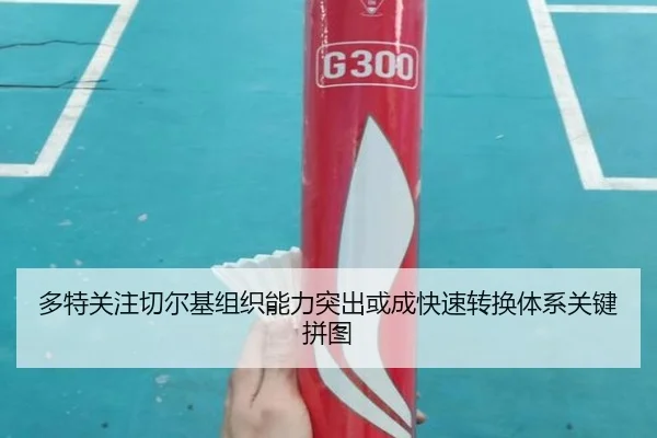 多特关注切尔基组织能力突出或成快速转换体系关键拼图
